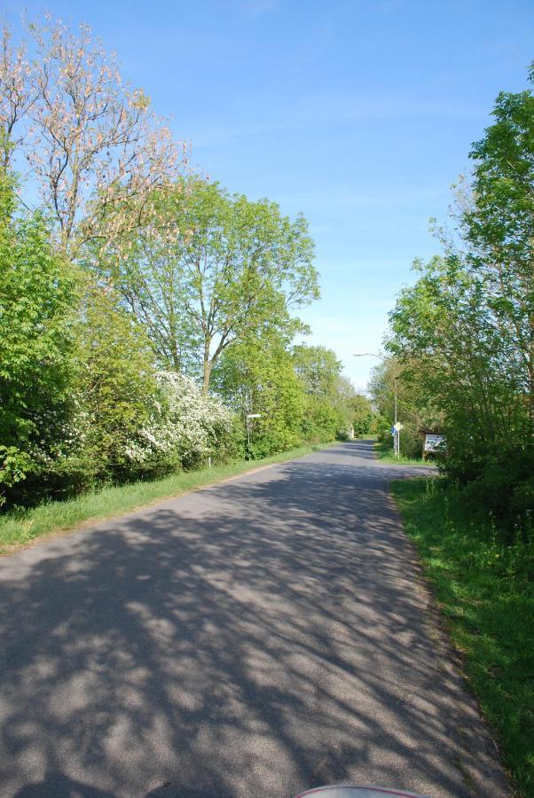 Ferienwohnung Im Grunen - Hof Blohme Langwedel  Kültér fotó